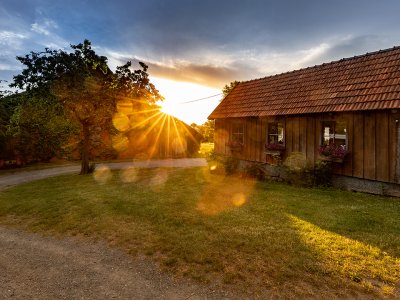 Sonnenuntergang hinter einem Baum und einem Holzhaus mit Blumen in den Fenstern auf einer Wiese