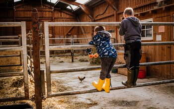 Kinder beobachten die Tiere im Stall