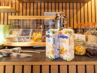 Zwei Alpro-Getränkepackungen vor einem Frühstücksbuffet mit Müslispendern und Gläsern mit Trockenfrüchten