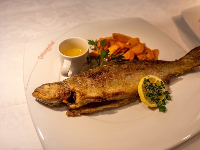 Fischmenü Auswahl beim Abendessen