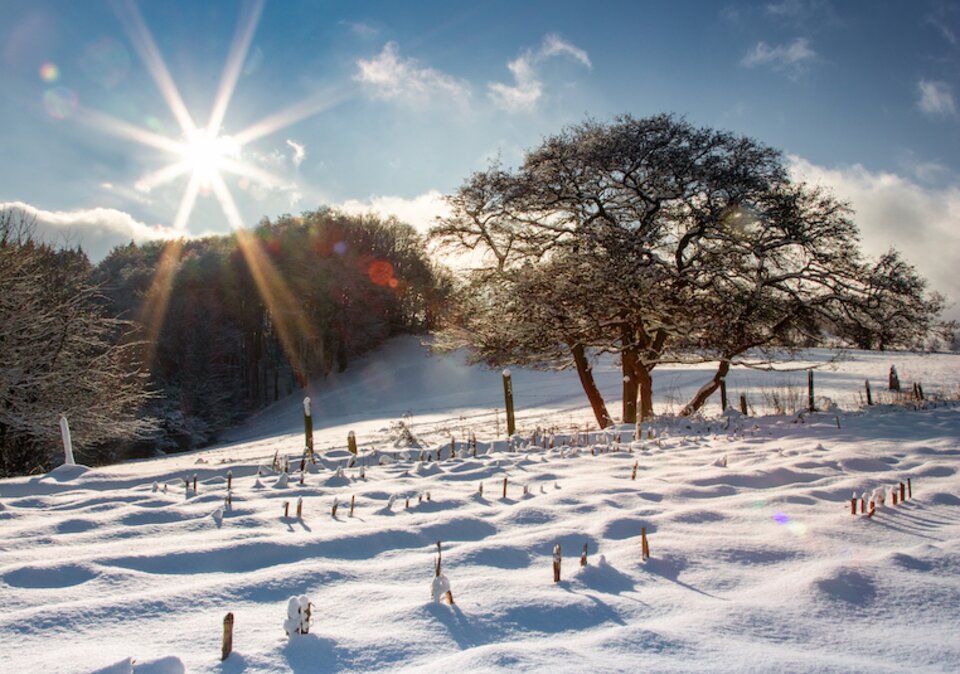 Winterlandschaft im Sauerland