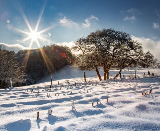 Winterlandschaft im Sauerland