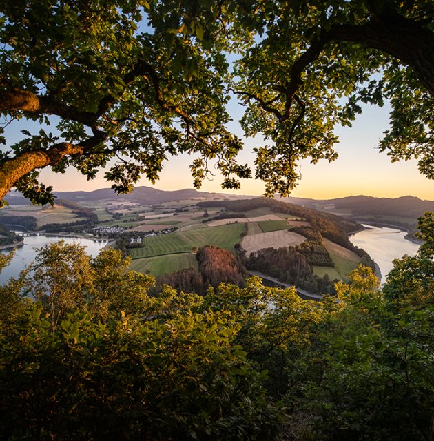 Blick durch Bäume auf Fluss und Felder bei Sonnenuntergang in hügeliger Landschaft