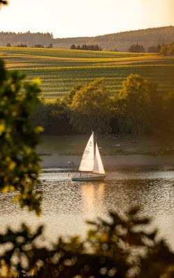 Segelboot auf ruhigem See vor bewaldeten Hügeln im warmen Abendlicht