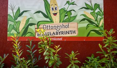 Schild mit lachendem Maiskolben und Text Ottonenhof Maislabyrinth vor roter Wand und grünen Pflanzen