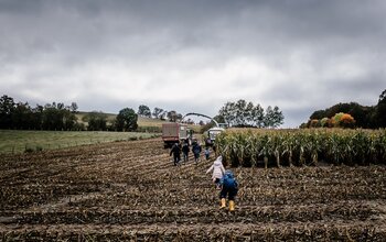 Kinder spielen am Feld