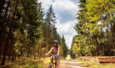 Frau fährt Fahrrad auf Waldweg, umgeben von hohen Bäumen und gestapeltem Holz