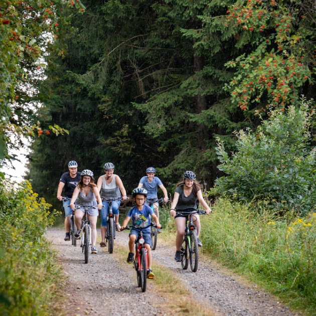 Gruppe von Radfahrern fährt auf einem Waldweg umgeben von grünen Bäumen und Sträuchern