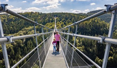 Vogelperspektive auf eine Hängebrücke mit Menschen, die durch einen bewaldeten Talbereich gehen