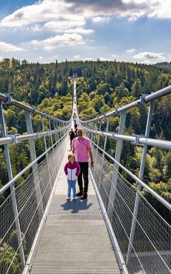 Vogelperspektive auf eine Hängebrücke mit Menschen, die durch einen bewaldeten Talbereich gehen