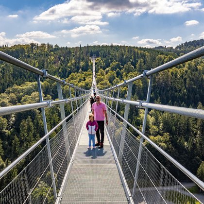 Vogelperspektive auf eine Hängebrücke mit Menschen, die durch einen bewaldeten Talbereich gehen