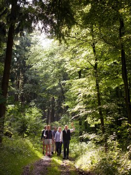 Gruppe wandert auf Waldweg, umgeben von hohen Bäumen und Sonnenlicht