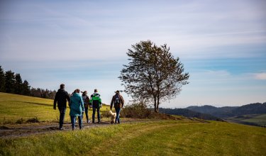 Gruppe wandert auf einem Weg durch eine grüne Landschaft mit Baum rechts und Hügeln im Hintergrund