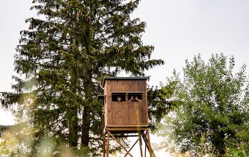 Blick auf den Aussichtsturm