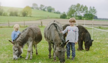 Zwei Kinder stehen auf einer Wiese und streicheln Esel und ein Pony beim Grasen