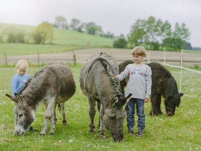 Zwei Kinder stehen auf einer Wiese und streicheln Esel und ein Pony beim Grasen