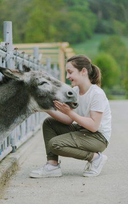 Mädchen hockt rechts und streichelt Eselkopf durch Zaun links im Freien