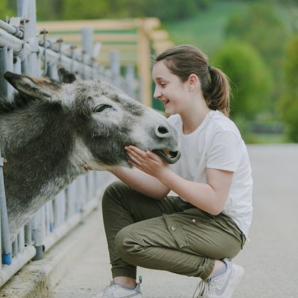 Mädchen hockt rechts und streichelt Eselkopf durch Zaun links im Freien
