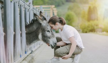 Ein Mädchen kniet und berührt liebevoll die Stirn eines Esels, der hinter einem Zaun steht.