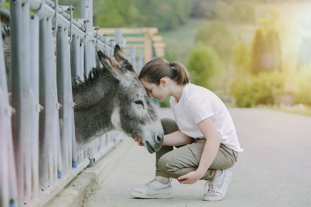 Ein Mädchen kniet und berührt liebevoll die Stirn eines Esels, der hinter einem Zaun steht.