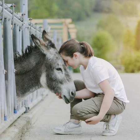 Ein Mädchen kniet und berührt liebevoll die Stirn eines Esels, der hinter einem Zaun steht.