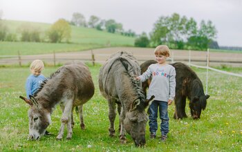 Kinder streicheln die Esel