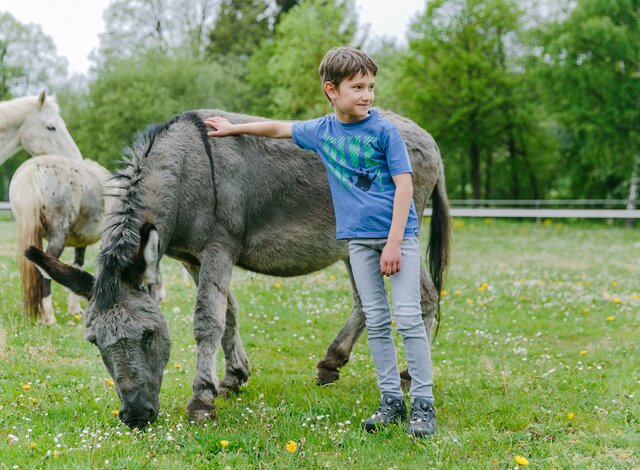 Kleiner Junge steht neben einem Esel