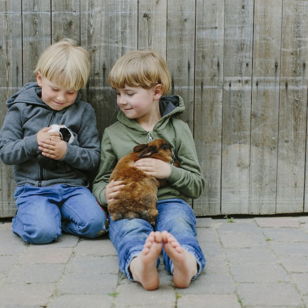 Zwei Kinder sitzen vor einem Holzzaun, eines hält ein Meerschweinchen, das andere ein Kaninchen