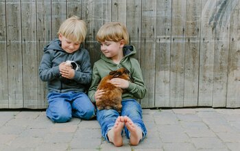 Zwei kleine Jungen halten Hasen