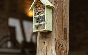 Insektenhotel