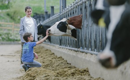 Kind kniet und streichelt Kuh am Zaun, Mädchen steht daneben und lächelt