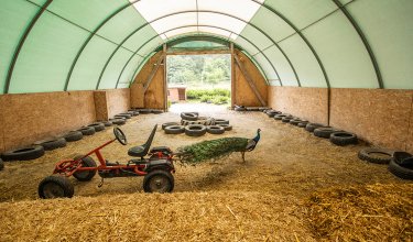 Pfau läuft neben einem roten Kettcar in einer überdachten Rennstrecke mit Reifen und Stroh