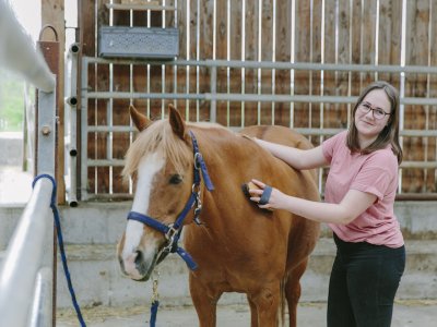 Frau bürstet braunes Pferd in einem Stall mit Holzwänden im Hintergrund
