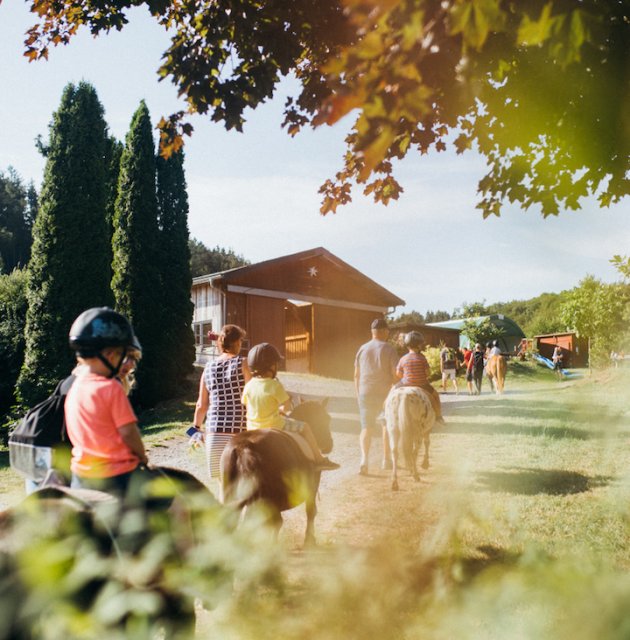 Kinder reiten auf Ponys auf einem sonnigen Weg, begleitet von Erwachsenen, mit Bäumen und Scheunen im Hintergrund