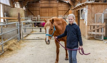 Mädchen führt braunes Pferd an der Leine in einem hellen Holzstall mit Heuballen