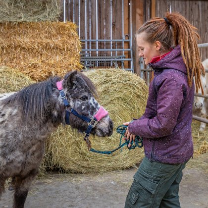Frau mit Zöpfen hält ein Seil und steht einem gescheckten Pony in einem Stall mit Heuballen gegenüber.