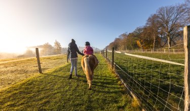 Kind reitet Pony auf einem Feldweg, begleitet von einer Person an einem sonnigen Tag