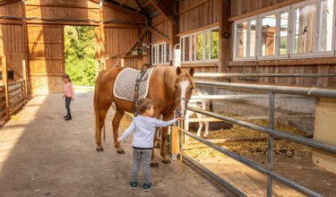 Kind streichelt braunes Pferd in einem hellen Holzstall mit einem anderen Kind im Hintergrund