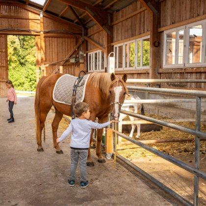 Kind streichelt braunes Pferd in einem hellen Holzstall mit einem anderen Kind im Hintergrund