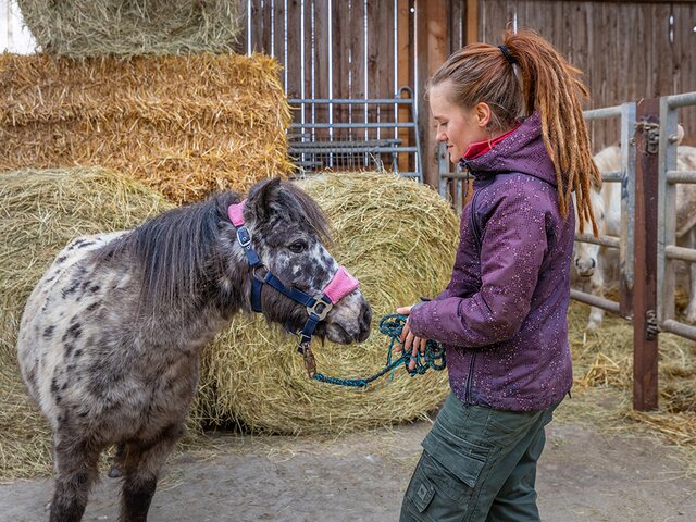 Pferd mit Frau im Stall