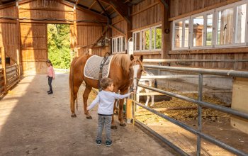 Junge füttert Pferd im Reitstall