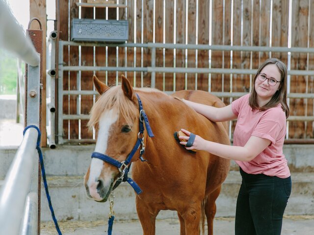 Teenager Mädchen striegelt ein Pony im Reitstall
