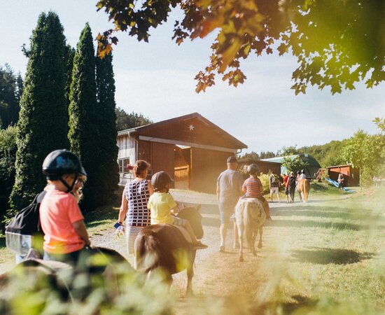 Kinder beim Wanderritt auf den Ponys