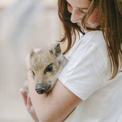 Mädchen hält ein kleines Wildschwein im Arm und schaut liebevoll darauf