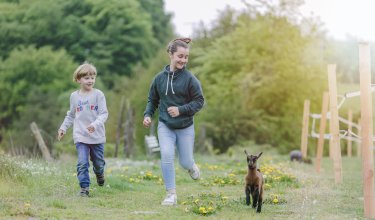 Kinder laufen auf einer Wiese neben einem kleinen Ziegenbock, umgeben von Bäumen und Holzzäunen