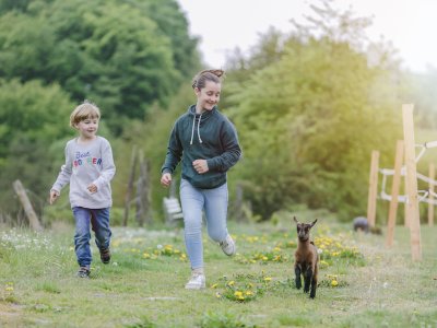 Kinder laufen auf einer Wiese neben einem kleinen Ziegenbock, umgeben von Bäumen und Holzzäunen