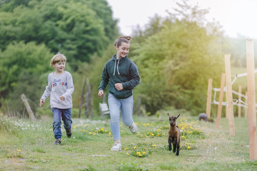 Kinder laufen auf einer Wiese neben einem kleinen Ziegenbock, umgeben von Bäumen und Holzzäunen