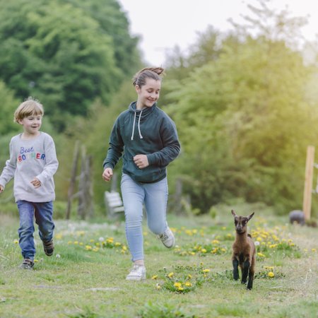 Kinder laufen auf einer Wiese neben einem kleinen Ziegenbock, umgeben von Bäumen und Holzzäunen