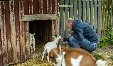 Mann hockt neben Holztor und streichelt junges weißes Zicklein vor einem Stall