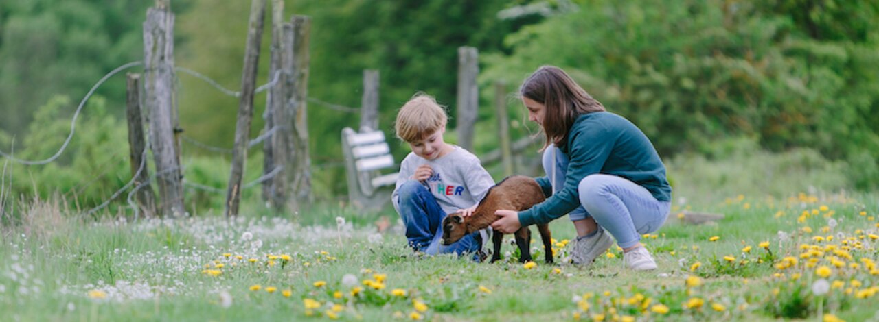 Zwei Kinder spielen mit einem Babyzieglein in der Wiese